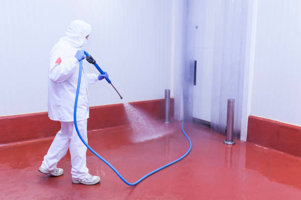 Best Soft Washing  in Wasco, CA